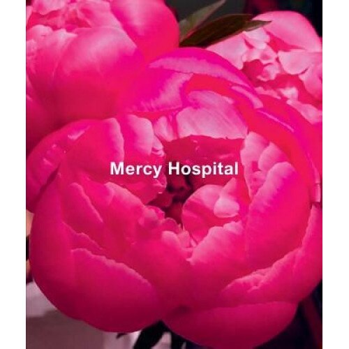 Ida Applebroog: Mercy Hospital, Ida Applebroog (Artist)